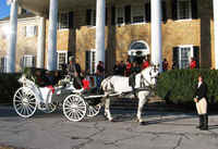 Holiday Horse Drawn Carriage Ride In the Heart of DC